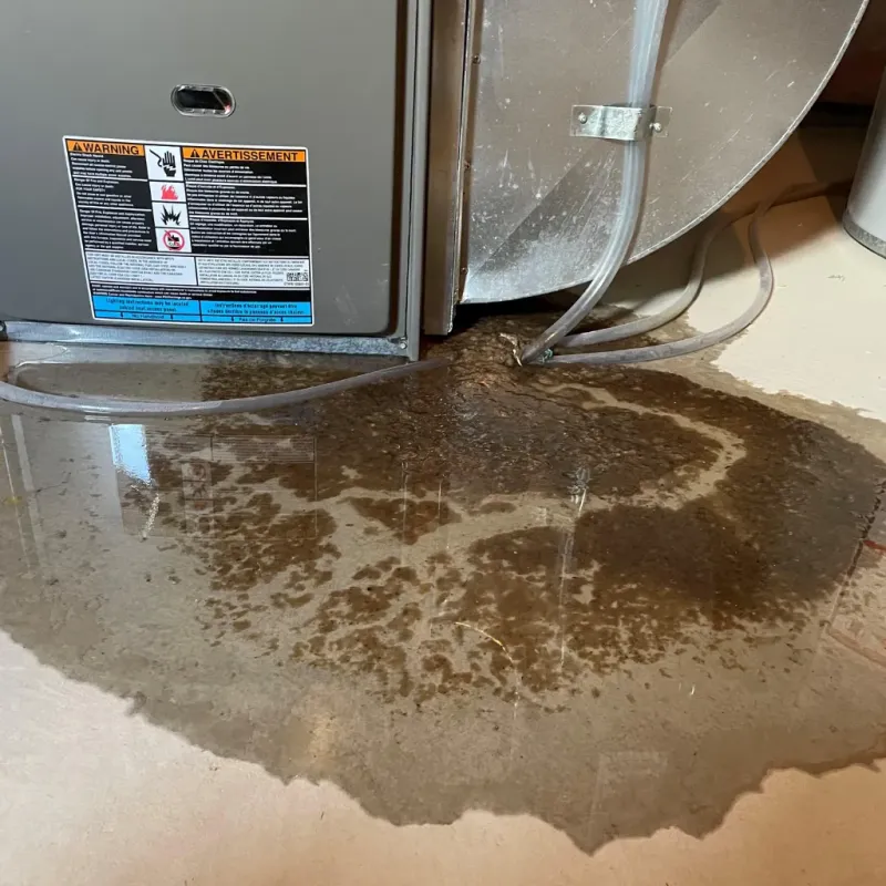 Appliance Leak Cleanup in Albany, IN