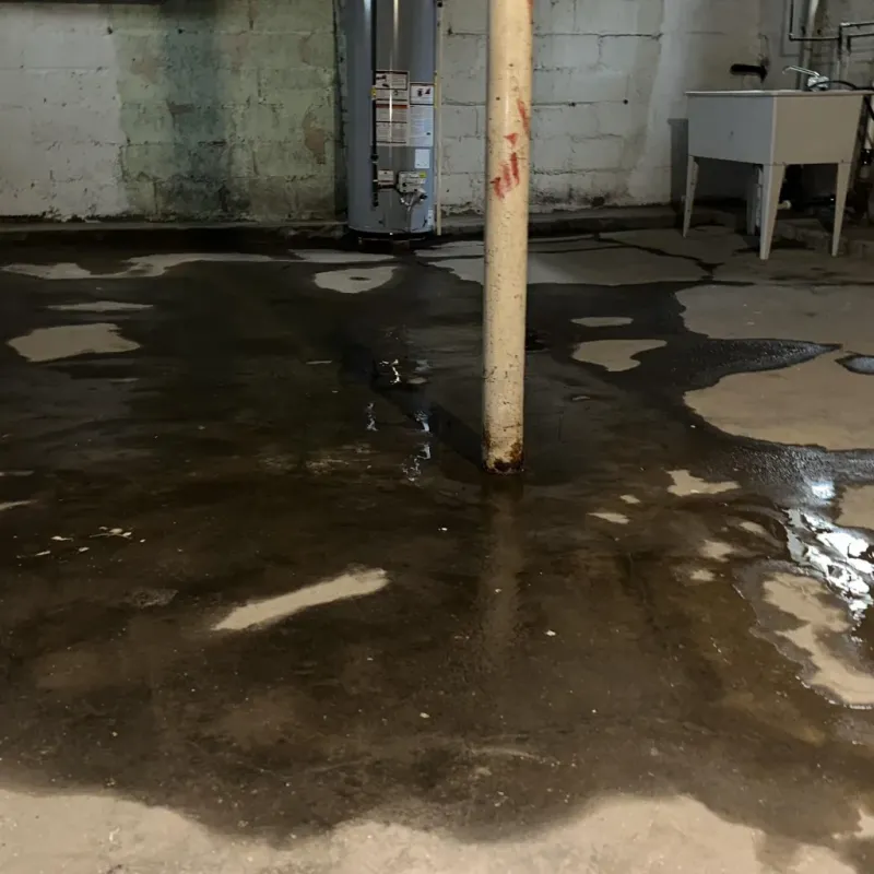 Emergency Water Extraction And Removal in Albany, IN